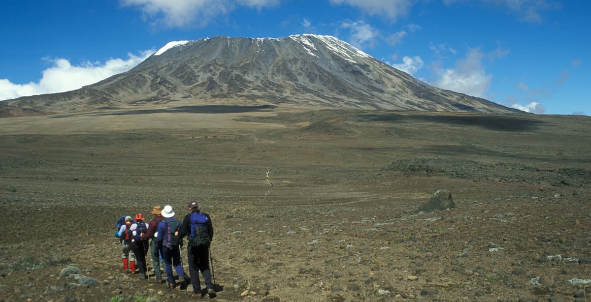 Combination of Kilimanjaro and safari 8 days