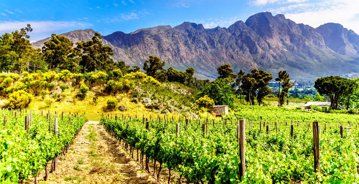 Experience southern South Africa 14-day tour