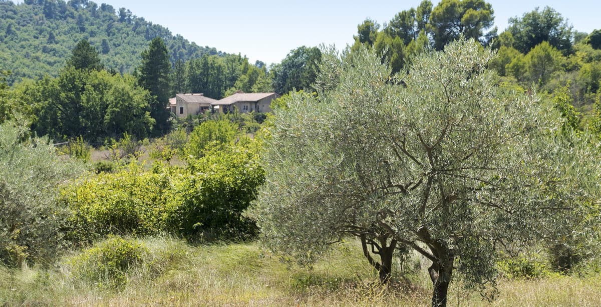 Tranquil hiking trails in Provence's Luberon