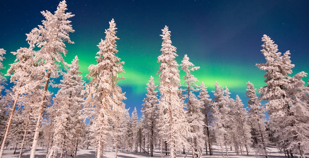 Arctic wonders & northern lights in Lapland