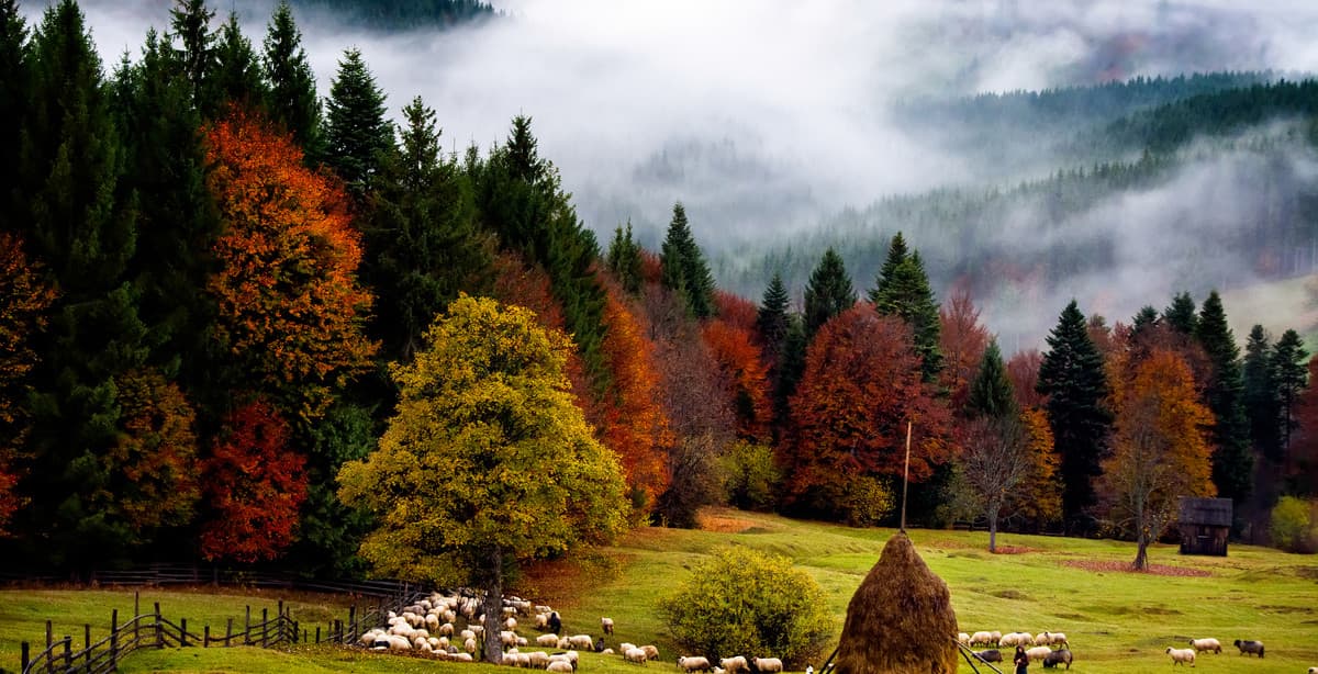 Self-guided tour of Romania's historical Maramures & Bucovina