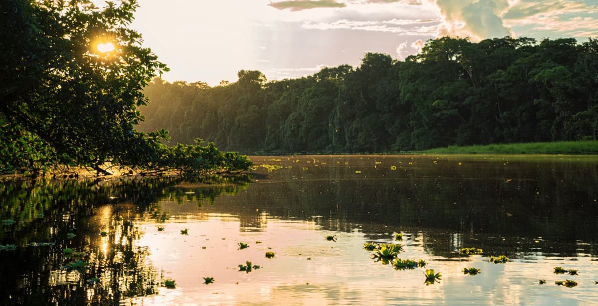 Ecuador's landscapes: the Andes, Amazon & Galapagos