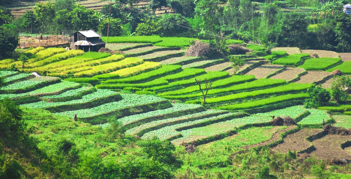 Tour Sikkim & Darjeeling district of West Bengal