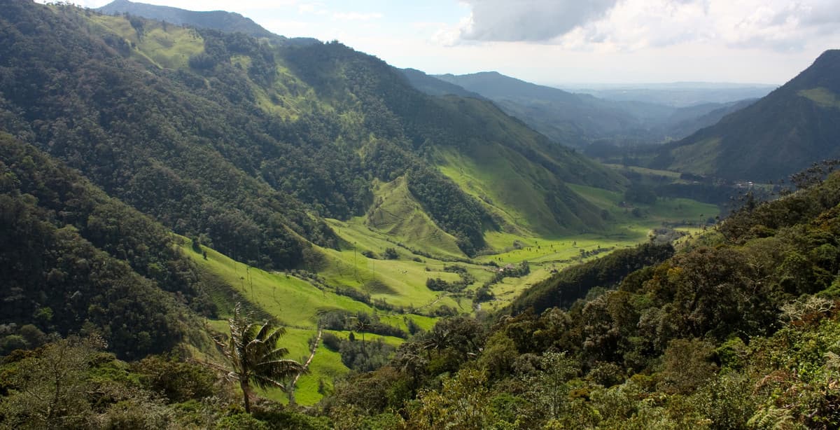 Green Colombia: eco-friendly 15-day tour