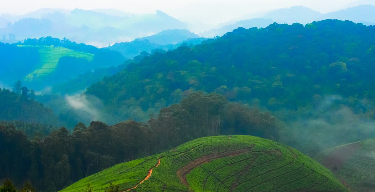 6-day Kigali, Rwanda & Uganda gorilla tour