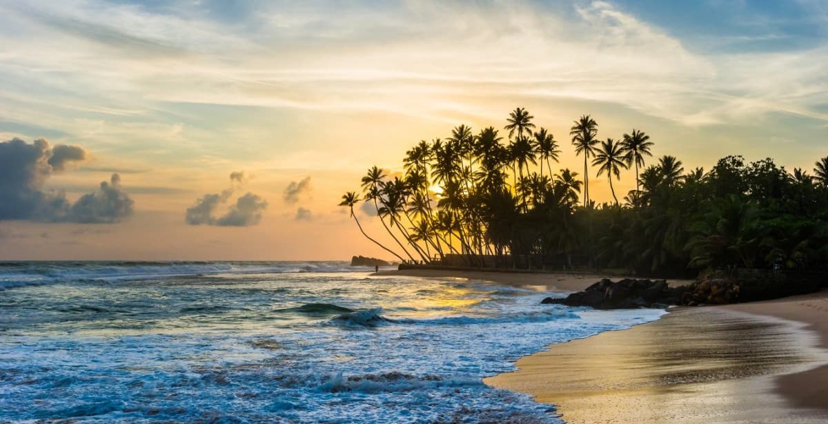 Honeymoon in Sri Lanka & the Maldives