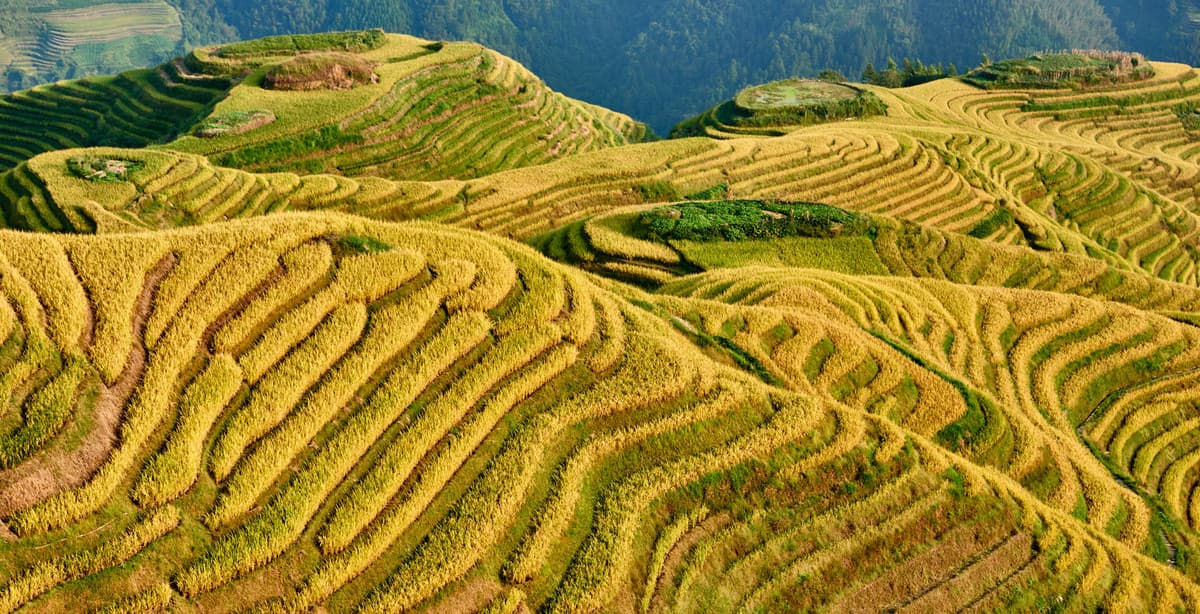 14-day hiking & culture tour through China