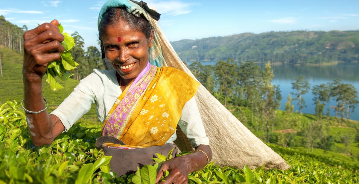 Discover Sri Lanka