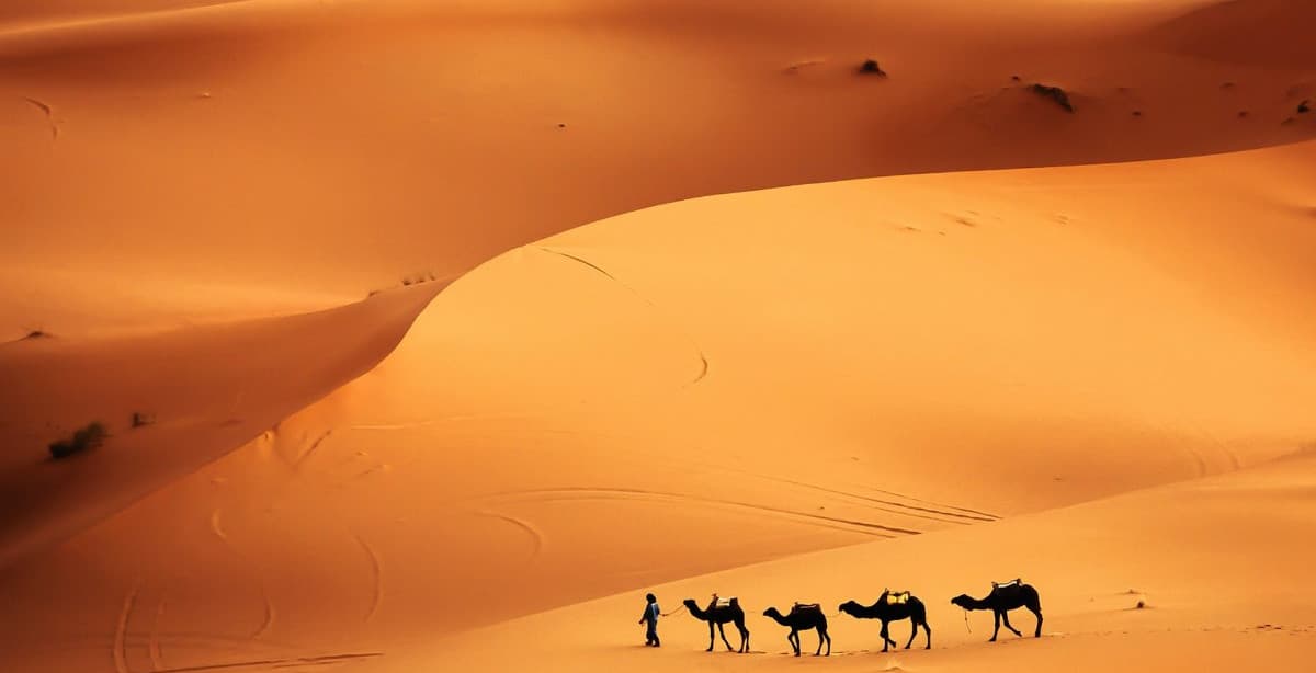 The wonders of Tunisia