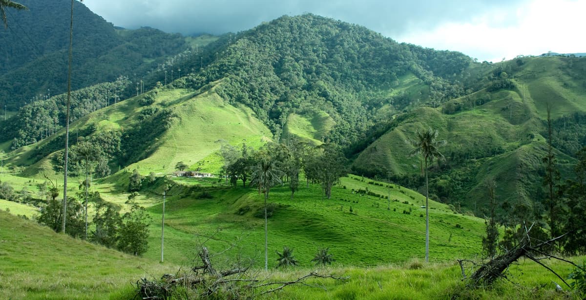 Best of Colombia & the Galapagos in 12 days