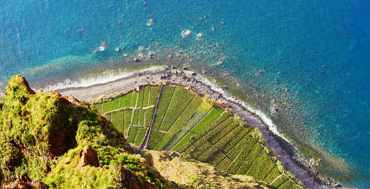 Portugal grand tour: from Porto's wine to Algarve beaches