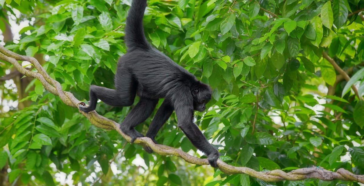 Wonderful Nicaragua tour for families