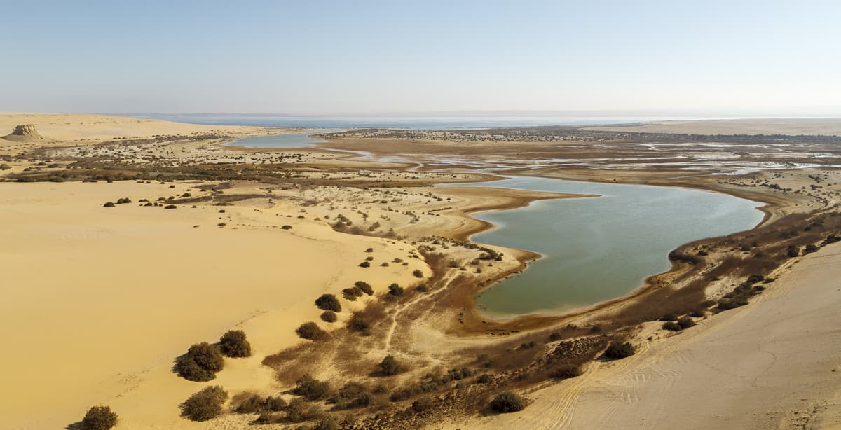 Egyptian cultural highlights 10-day cruise & safari
