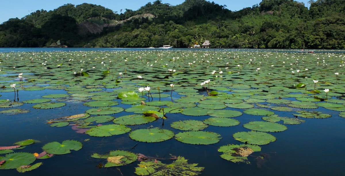 Green travel experience through Guatemala