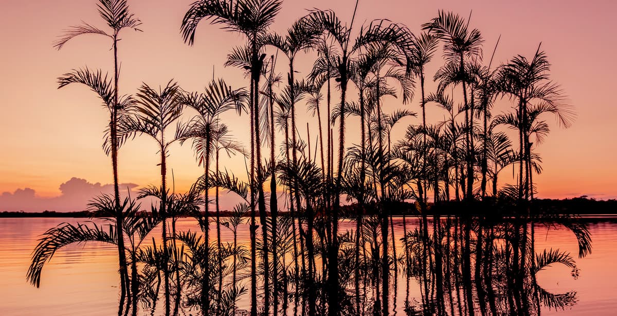 Ecuador komplett: Anden, Regenwald & Galapagosinseln