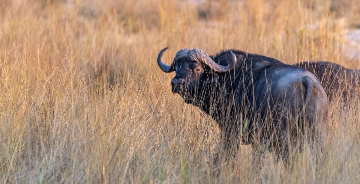 Namibia self-drive: from desert dunes to thundering falls