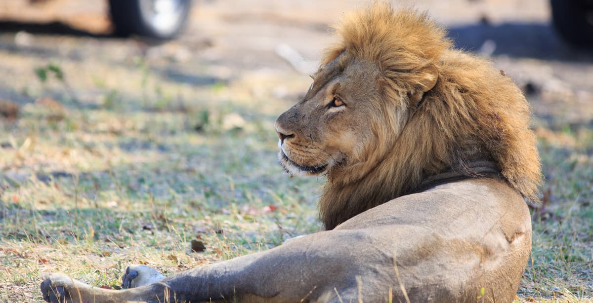 Safari & the Kingdom of Swaziland 13-day exploration