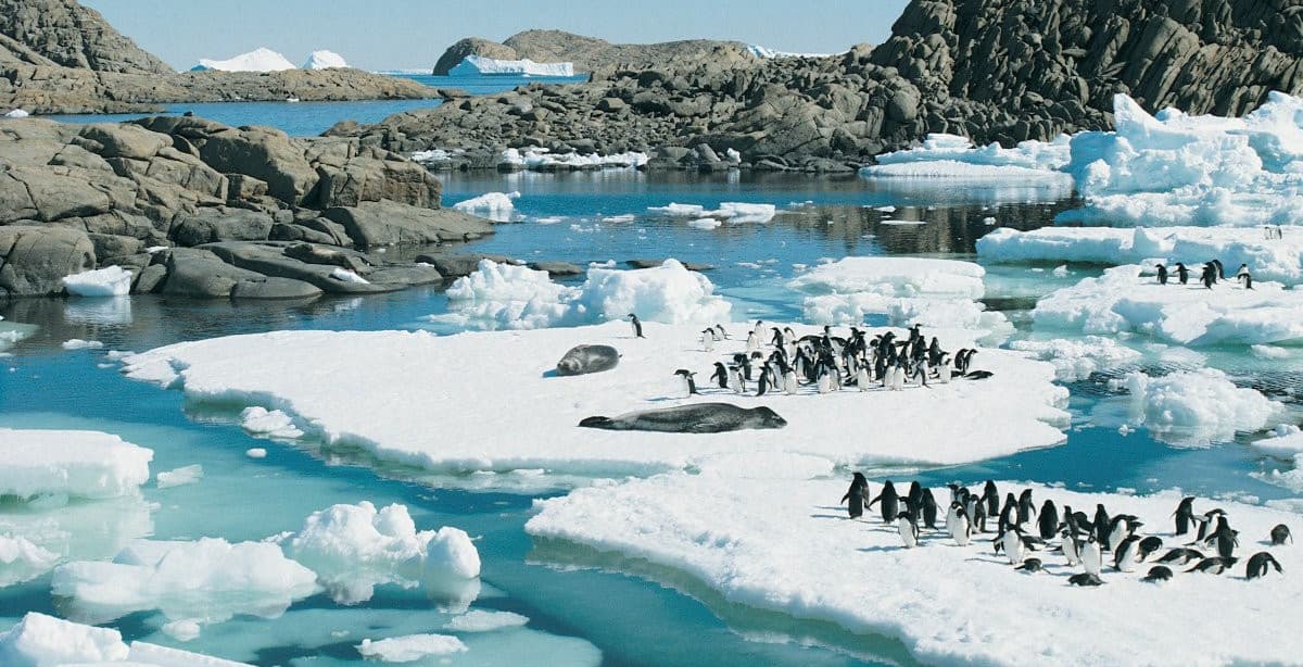 Best of Chile & Antarctica: a great voyage