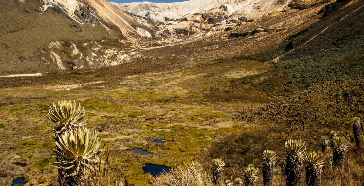 12-day hiking tour of incredible Colombia