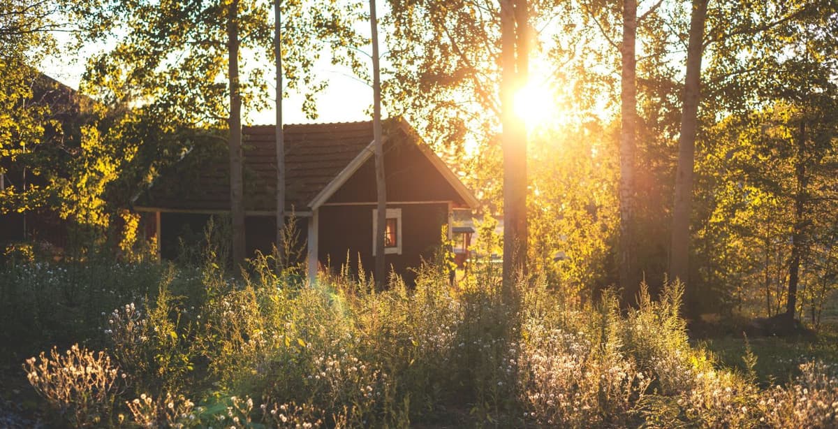 Experience summer in Finland for 9 days