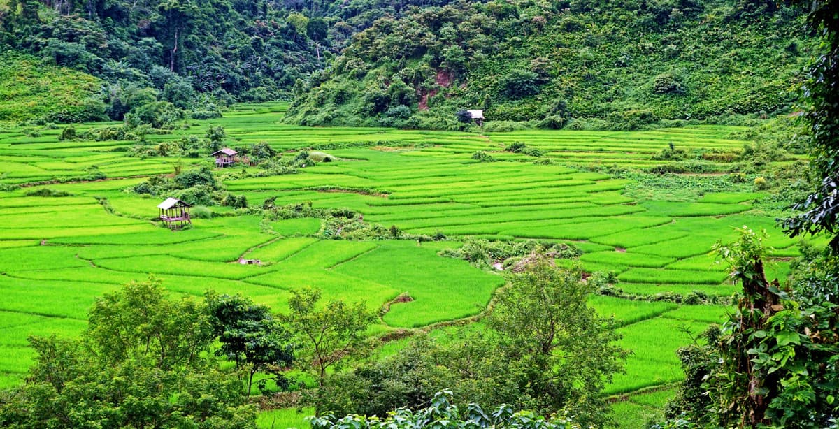 14 Tage Laos: Schätze des Nordens