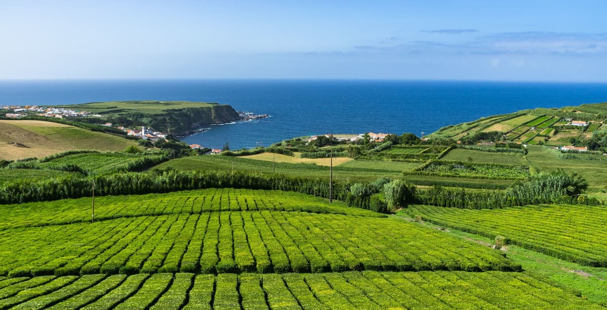 Secluded paradise of the Azores
