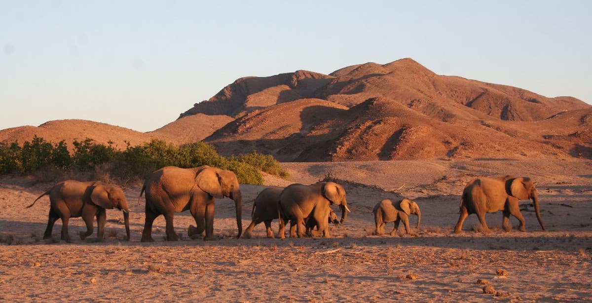 Abenteuerreise durch Namibia (Zelt und Lodge)
