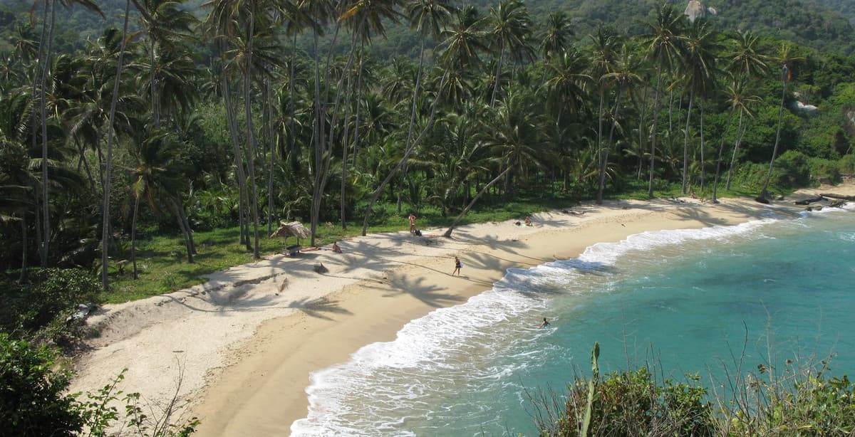 Colombia eco-tour: mountains, sea & jungle