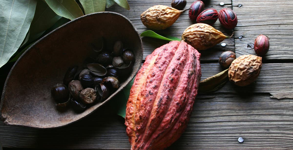 Feast for the senses: chocolate, Cotopaxi & more in Ecuador