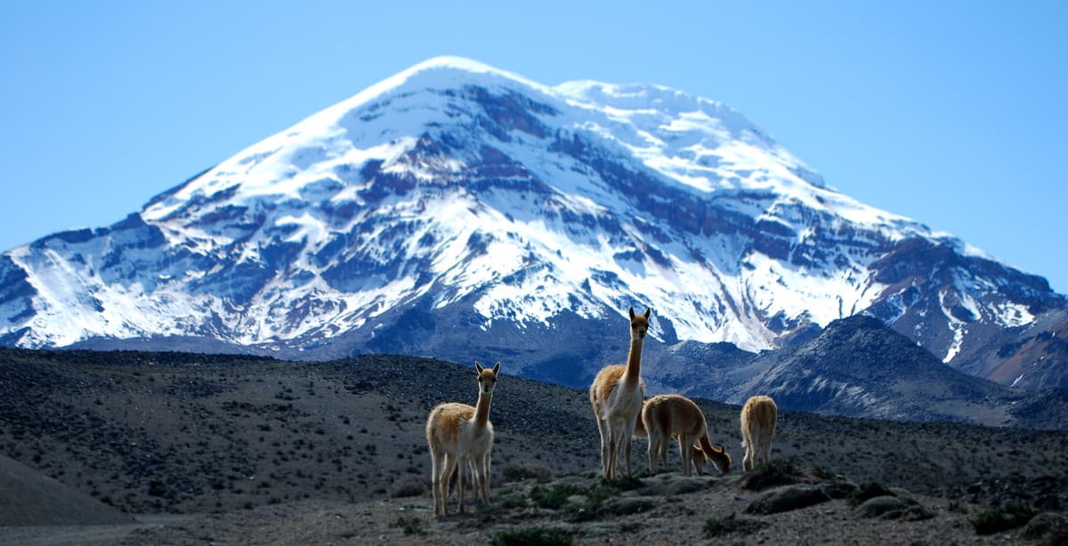 12-day adventure on Ecuador's Avenue of Volcanoes