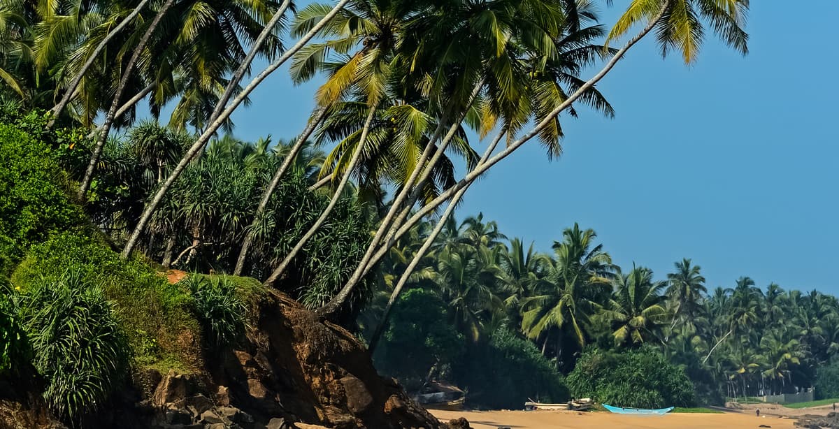 Wildlife & culture in Sri Lanka two-week tour