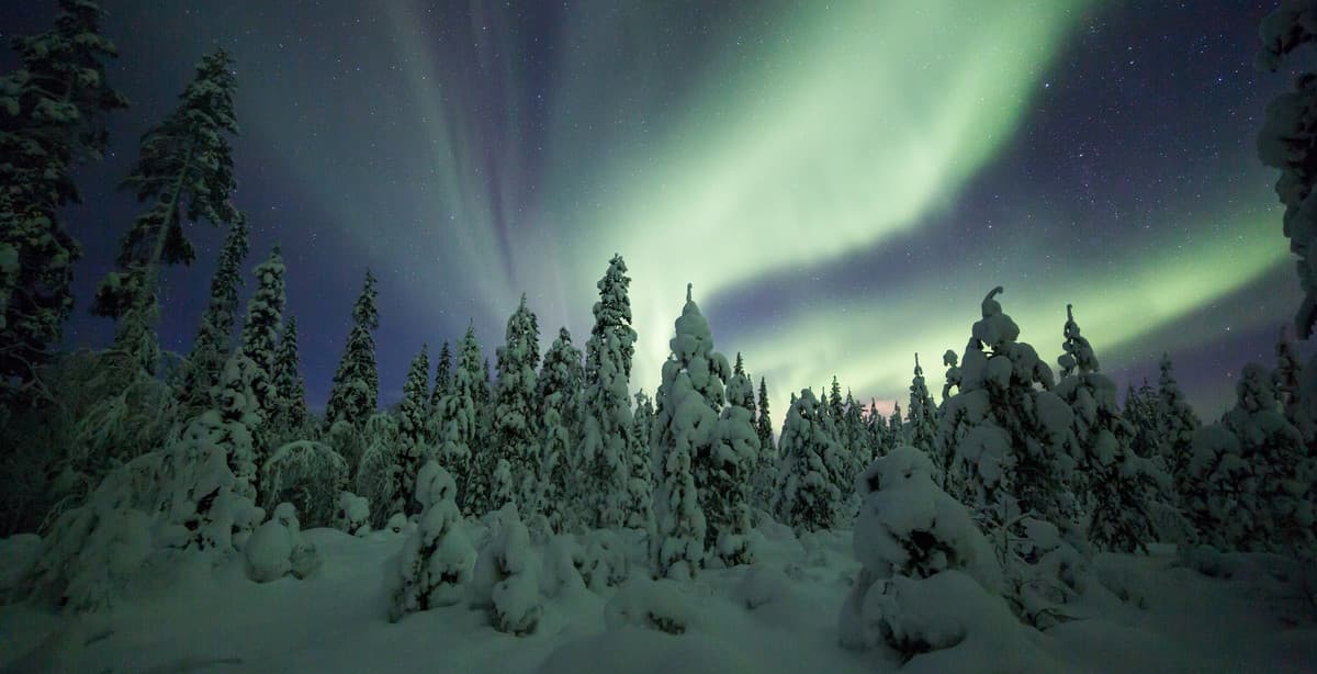 Romantic tour of Finland's winter wonderland