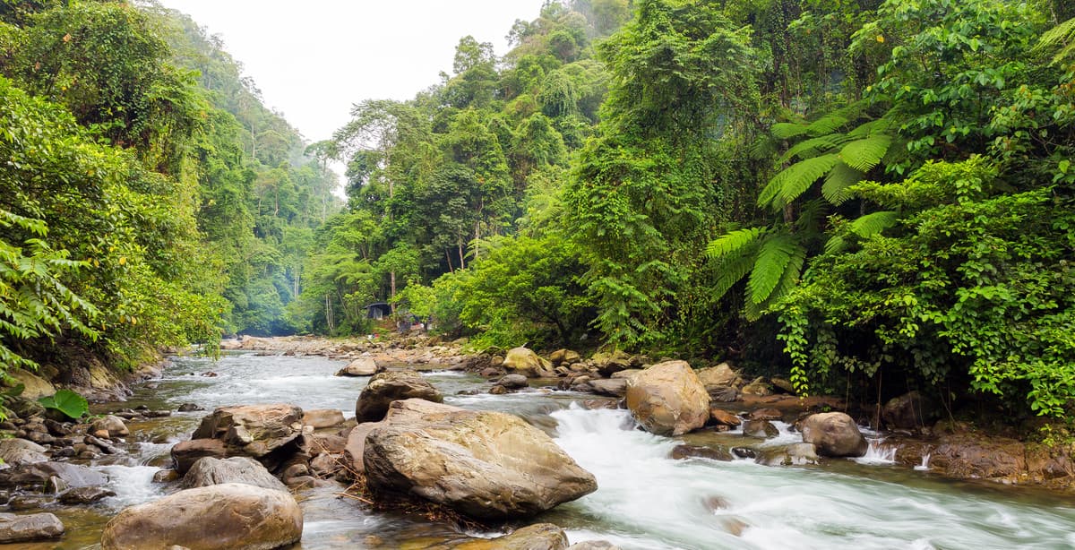 The natural beauty of Sumatra