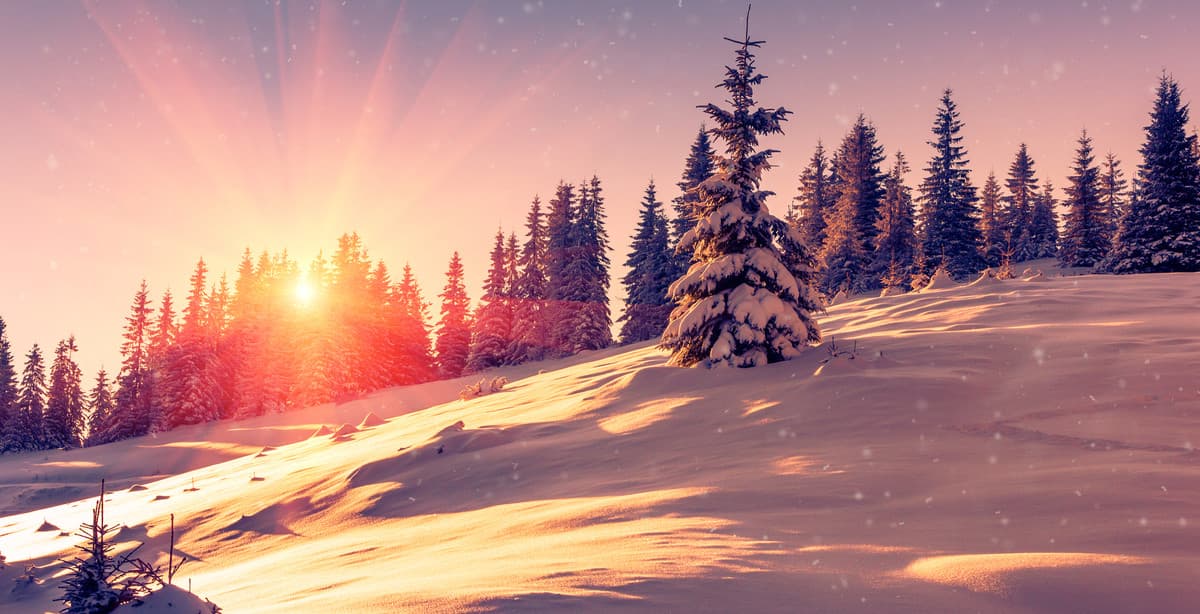 9-day tour of Finland's Helsinki & Lapland