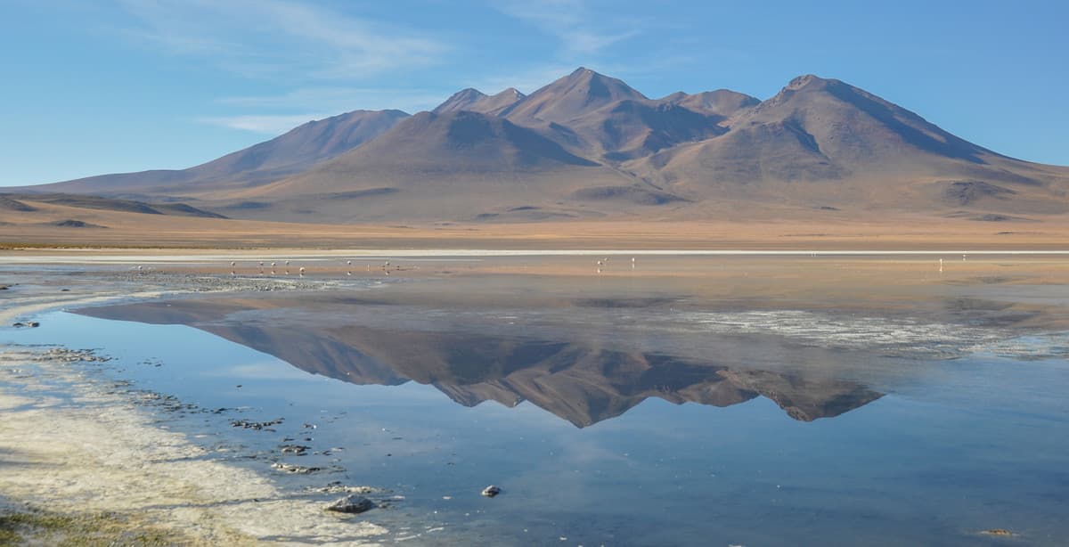 Atacama Desert & Sur Lipez discovery tour