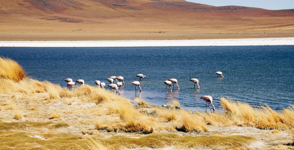 10-day classic experience across Bolivia