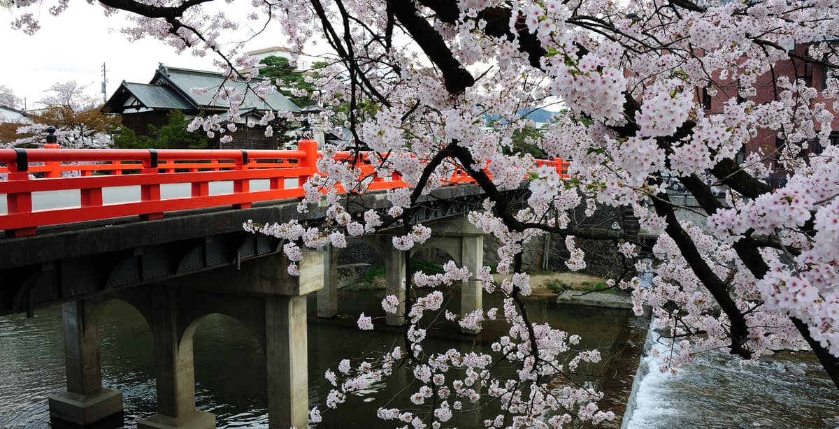 Japanische Kultur pur: Kyoto nach Takayama