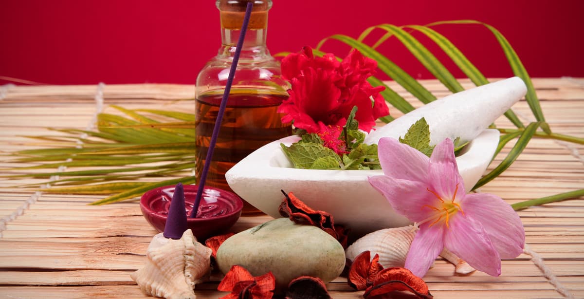 Sri Lankas Highlights und Ayurveda erleben