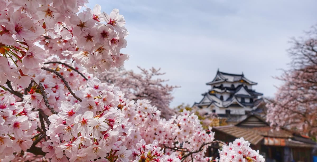 Kyushu, Japan: Kutur, Vulkane & heiße Quellen
