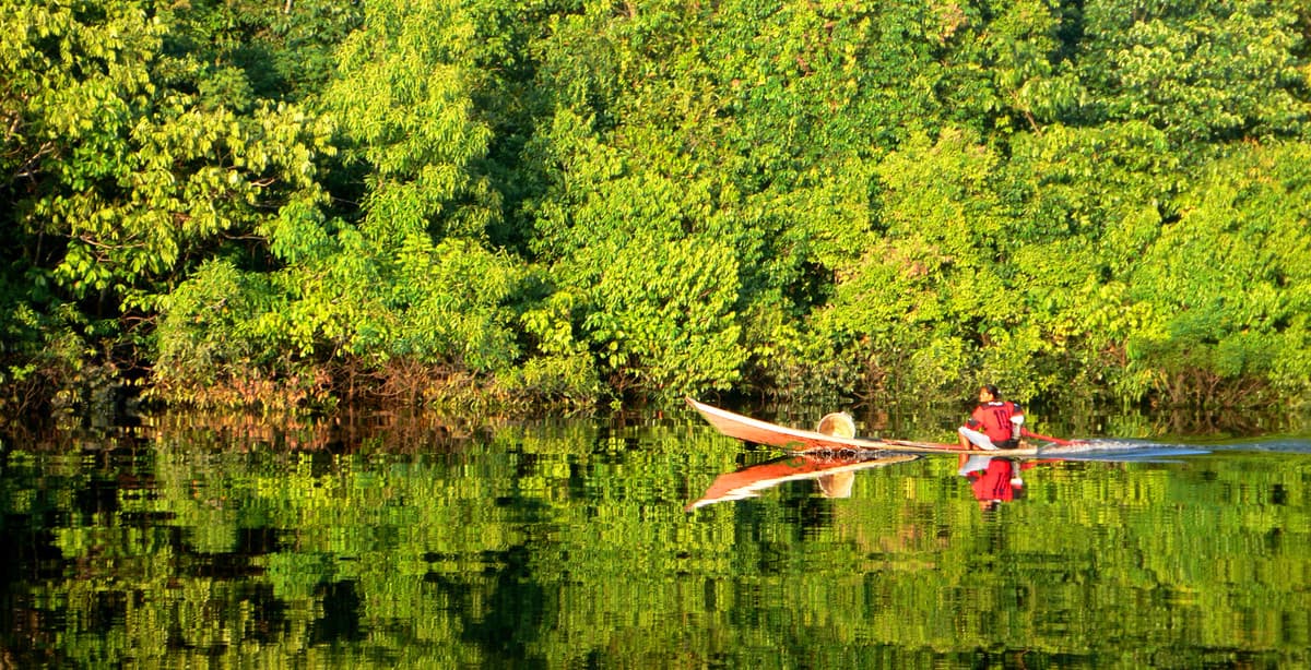 Immersive Bolivia wildlife tour: into the Amazon Rainforest