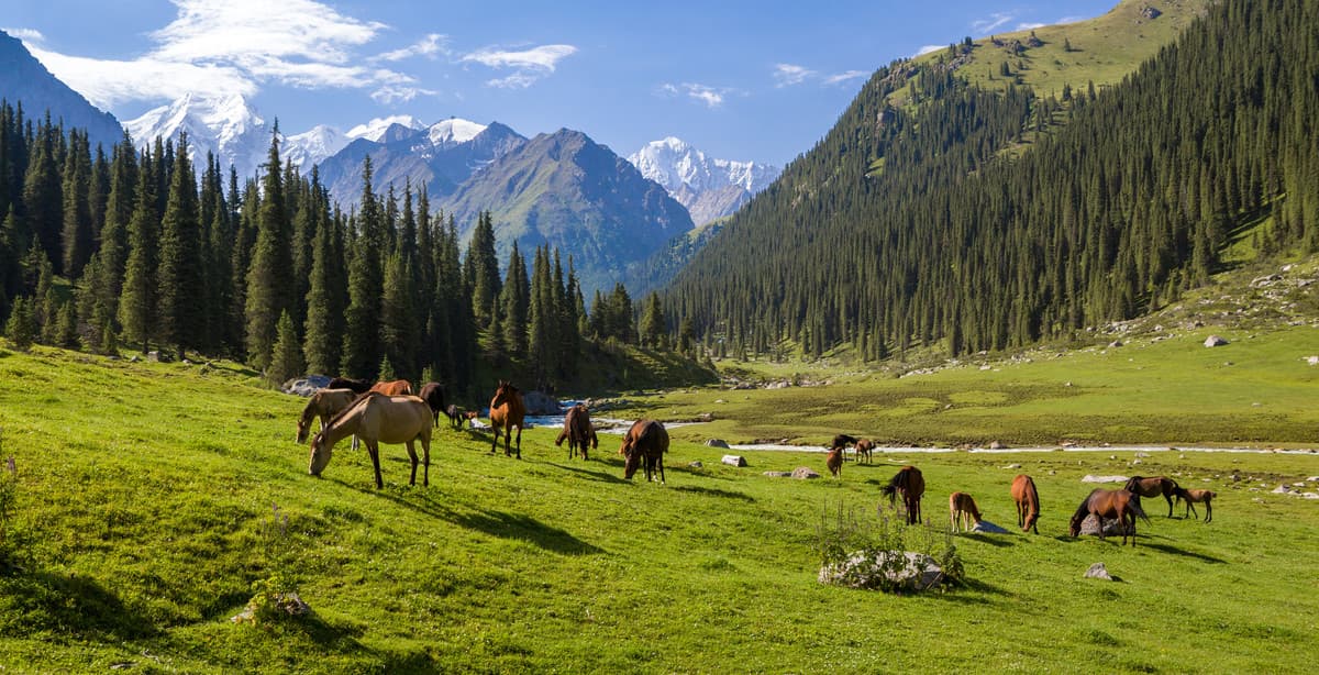14-day Kyrgyzstan grand tour
