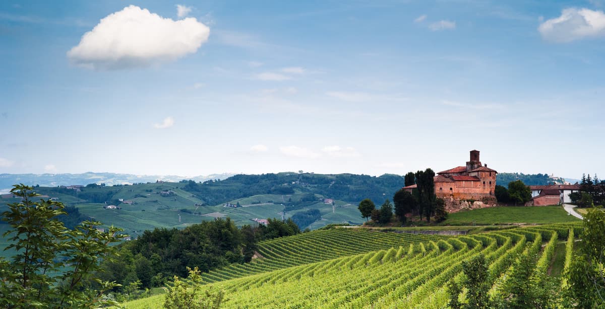 Gastronomic tour of Piedmont & Emilia-Romagna