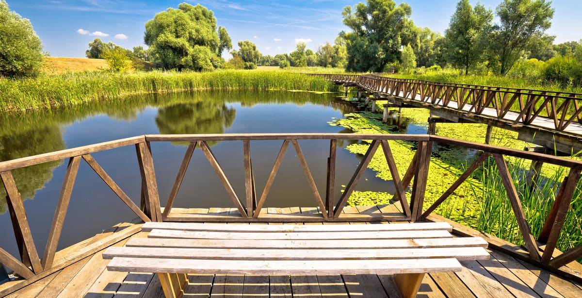 Eastern Croatia private nature & food tour