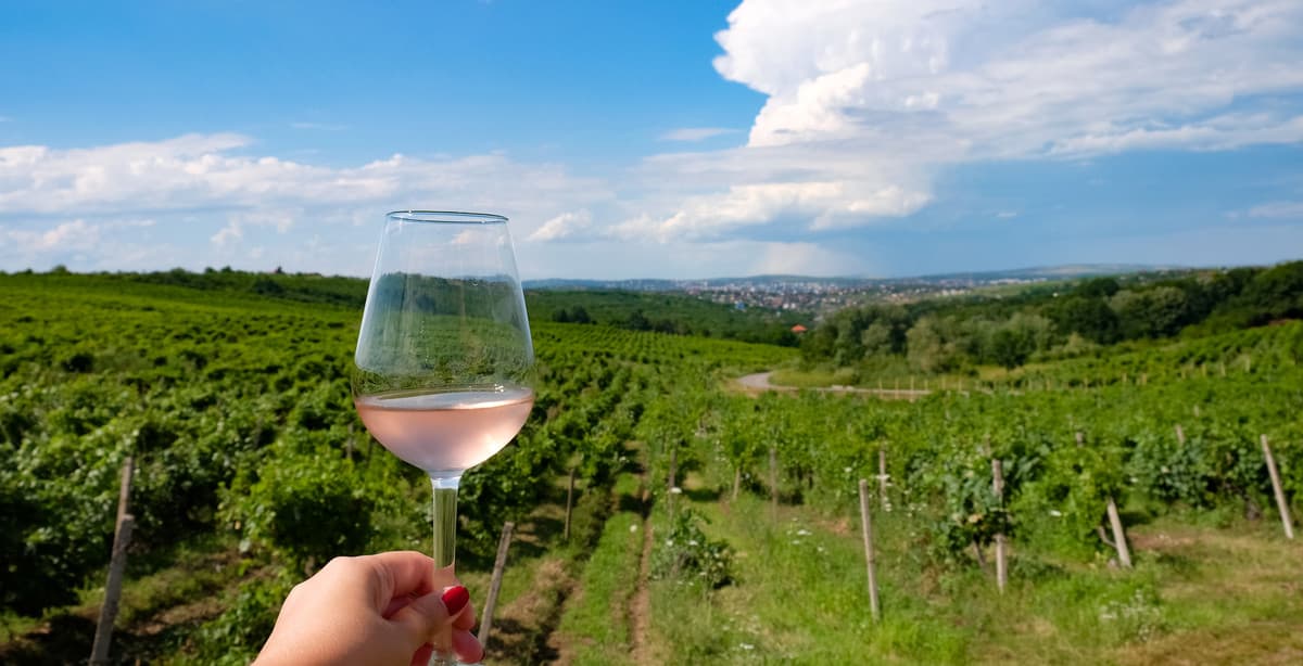 Delightful food & wine tour in Romania