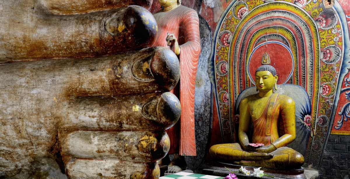 Heiliges und Tierisches von Sri Lanka