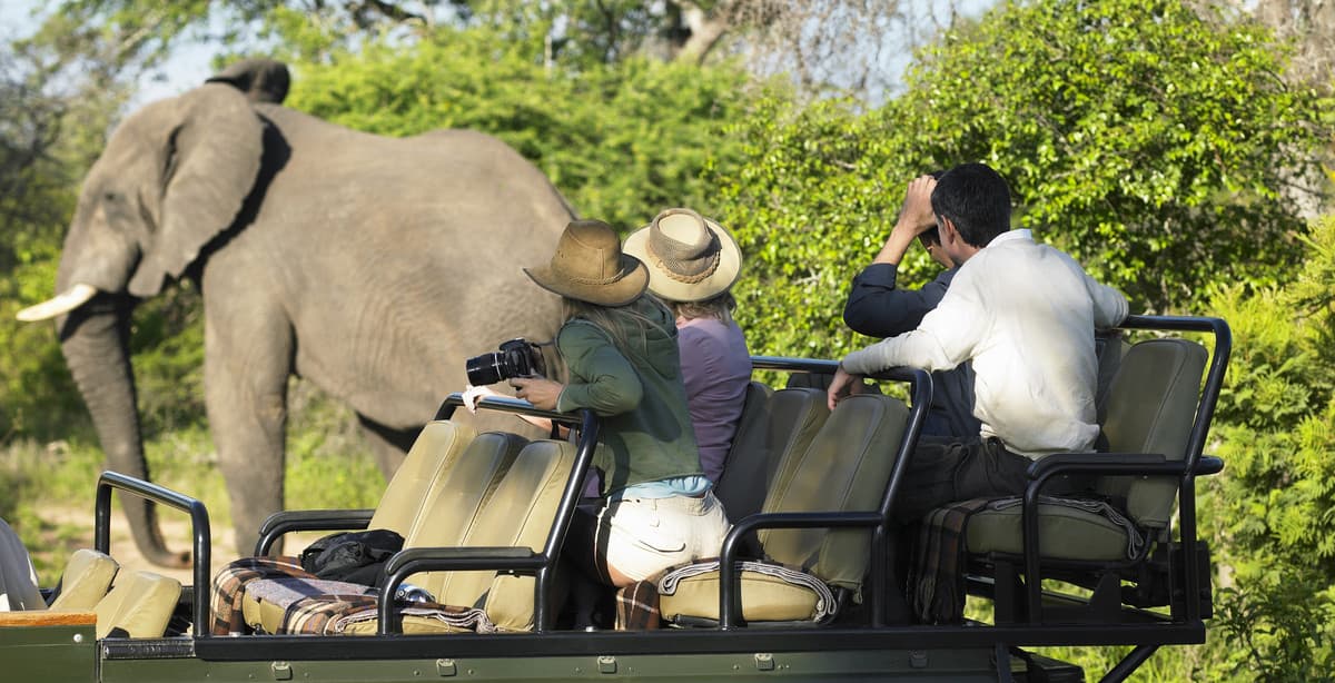 21-Day Victoria Falls To Cape Town Tour