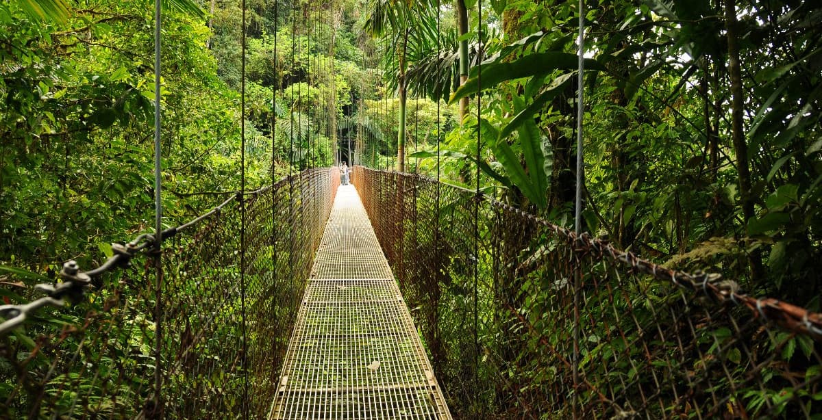 Costa-Rica: Faszinierende Selbstfahrer-Reise