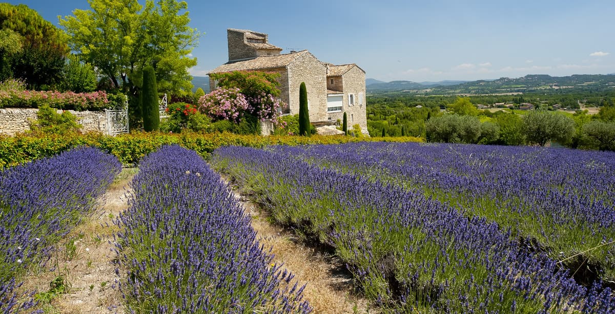 A Tuscan journey of wine, history & art