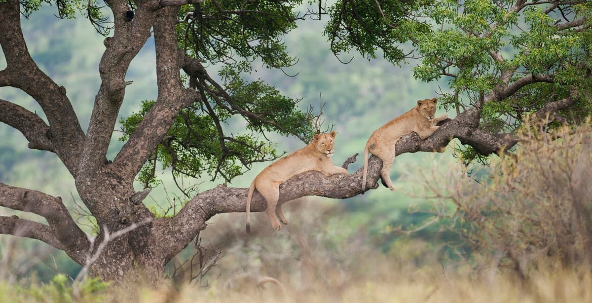 South Africa: from wilderness to winelands
