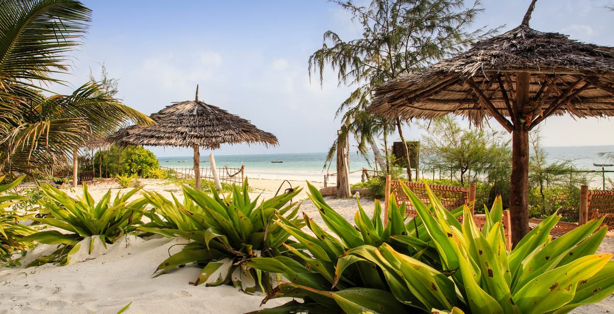 Journey from Tanzania to Zanzibar